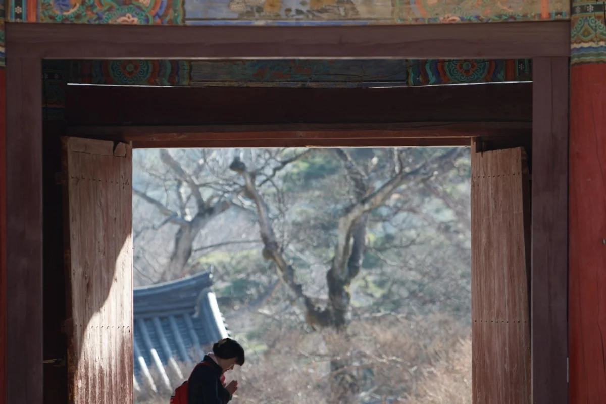 2026 경남 봄나들이 추천 명소 둘러보기 - 경남여행 여행