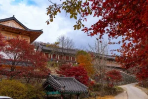 무주 박물관 (출처 : 한국관광공사)